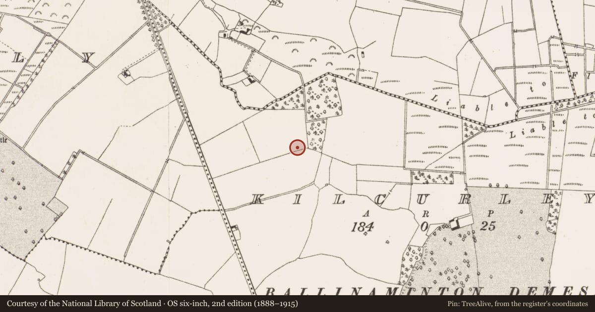 Ordnance Survey six-inch map, 2nd edition (1888–1915) covering the location of Fulacht fia, Kilcurley, County Offaly, with a pin at the register's coordinates