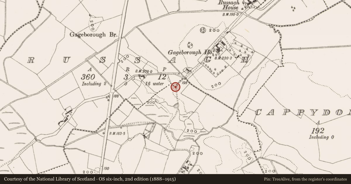 Ordnance Survey six-inch map, 2nd edition (1888–1915) covering the location of Burnt spread, Russagh, County Offaly, with a pin at the register's coordinates