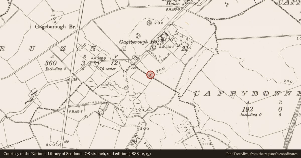 Ordnance Survey six-inch map, 2nd edition (1888–1915) covering the location of Burnt spread, Russagh, County Offaly, with a pin at the register's coordinates