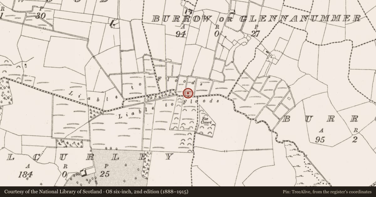 Ordnance Survey six-inch map, 2nd edition (1888–1915) covering the location of Fulacht fia, Burrow Or Glennanummer, County Offaly, with a pin at the register's coordinates