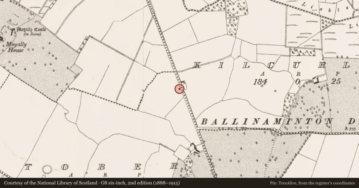 Ordnance Survey six-inch map, 2nd edition (1888–1915) covering the location of House - Bronze Age, Tober, County Offaly, with a pin at the register's coordinates