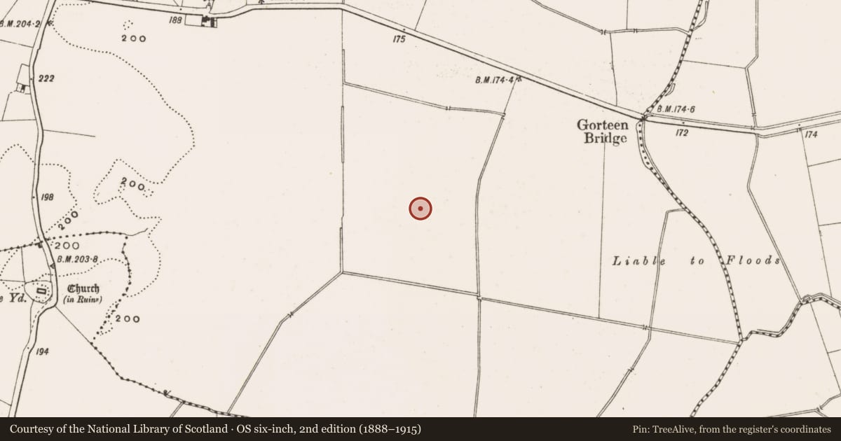 Ordnance Survey six-inch map, 2nd edition (1888–1915) covering the location of Earthwork, Gorteen, County Offaly, with a pin at the register's coordinates