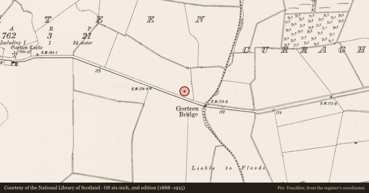 Ordnance Survey six-inch map, 2nd edition (1888–1915) covering the location of Enclosure, Gorteen, County Offaly, with a pin at the register's coordinates