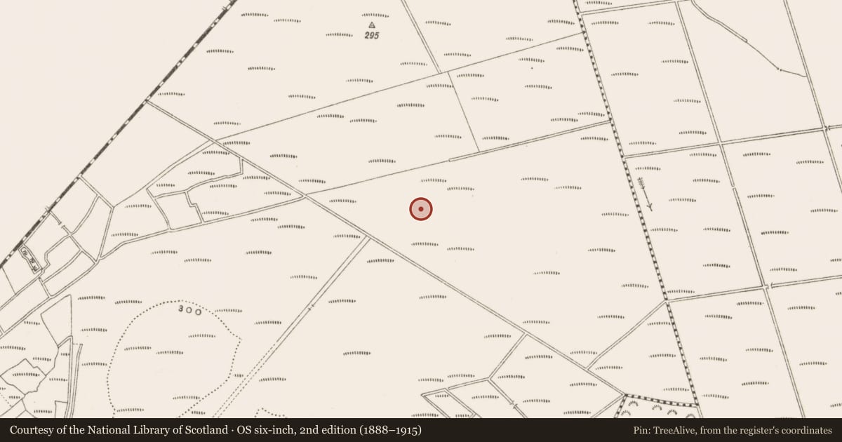 Ordnance Survey six-inch map, 2nd edition (1888–1915) covering the location of Road - unclassified togher, Derrycoffey, County Offaly, with a pin at the register's coordinates