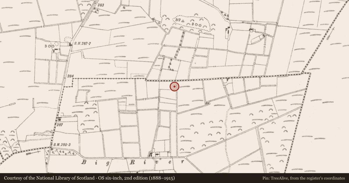 Ordnance Survey six-inch map, 2nd edition (1888–1915) covering the location of Enclosure, Ballyfore, County Offaly, with a pin at the register's coordinates
