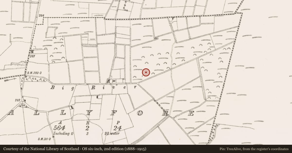 Ordnance Survey six-inch map, 2nd edition (1888–1915) covering the location of Enclosure, Ballyfore, County Offaly, with a pin at the register's coordinates