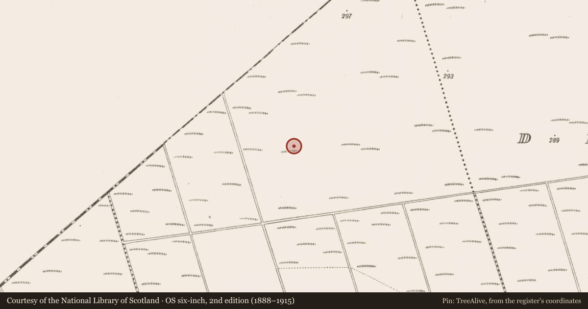Ordnance Survey six-inch map, 2nd edition (1888–1915) covering the location of Structure - peatland, Bunsallagh, County Offaly, with a pin at the register's coordinates