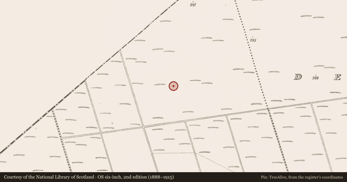 Ordnance Survey six-inch map, 2nd edition (1888–1915) covering the location of Structure - peatland, Bunsallagh, County Offaly, with a pin at the register's coordinates
