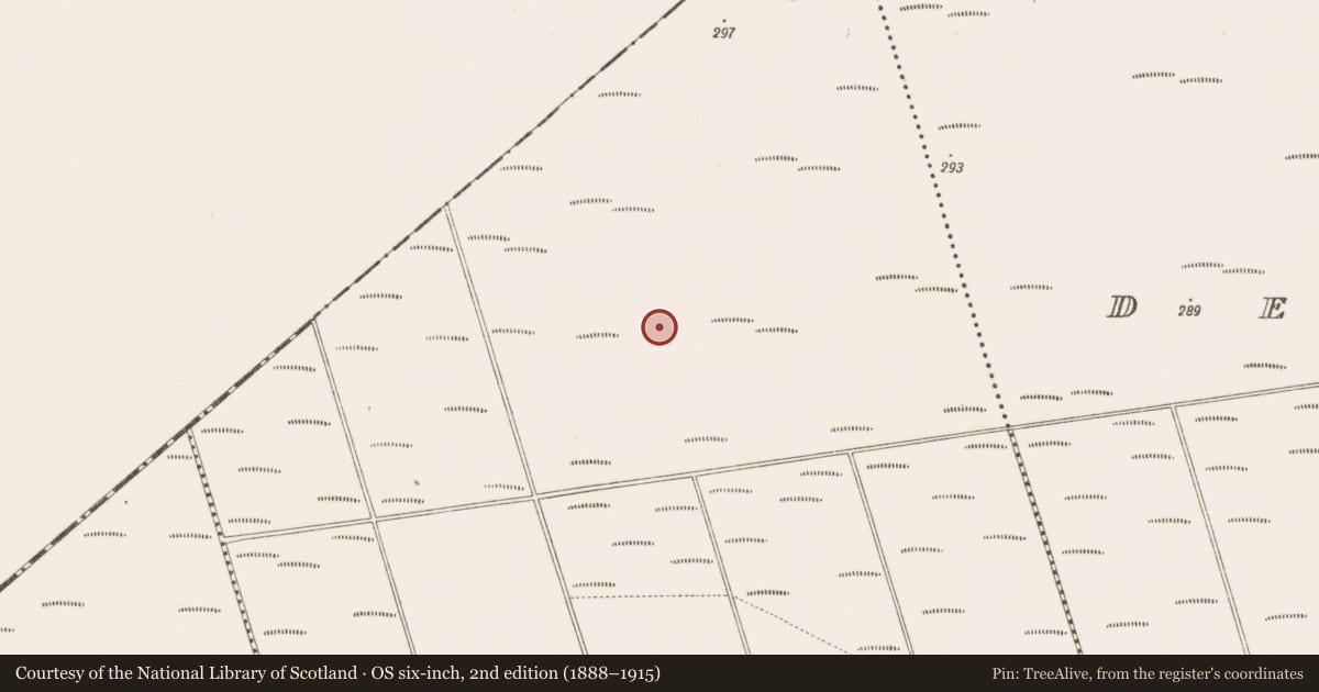 Ordnance Survey six-inch map, 2nd edition (1888–1915) covering the location of Road - class 3 togher, Bunsallagh, County Offaly, with a pin at the register's coordinates