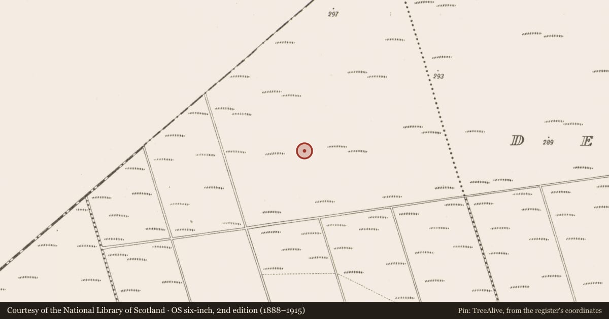 Ordnance Survey six-inch map, 2nd edition (1888–1915) covering the location of Road - class 3 togher, Bunsallagh, County Offaly, with a pin at the register's coordinates