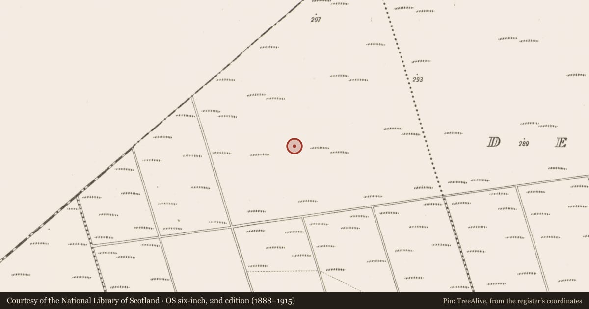 Ordnance Survey six-inch map, 2nd edition (1888–1915) covering the location of Structure - peatland, Bunsallagh, County Offaly, with a pin at the register's coordinates