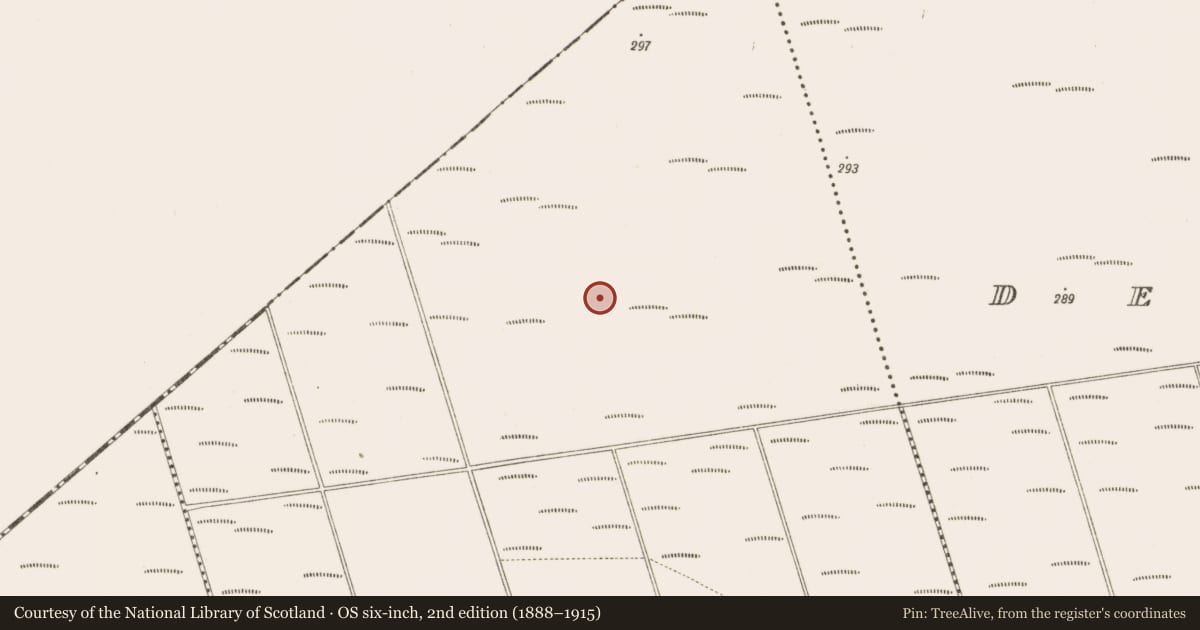 Ordnance Survey six-inch map, 2nd edition (1888–1915) covering the location of Structure - peatland, Bunsallagh, County Offaly, with a pin at the register's coordinates
