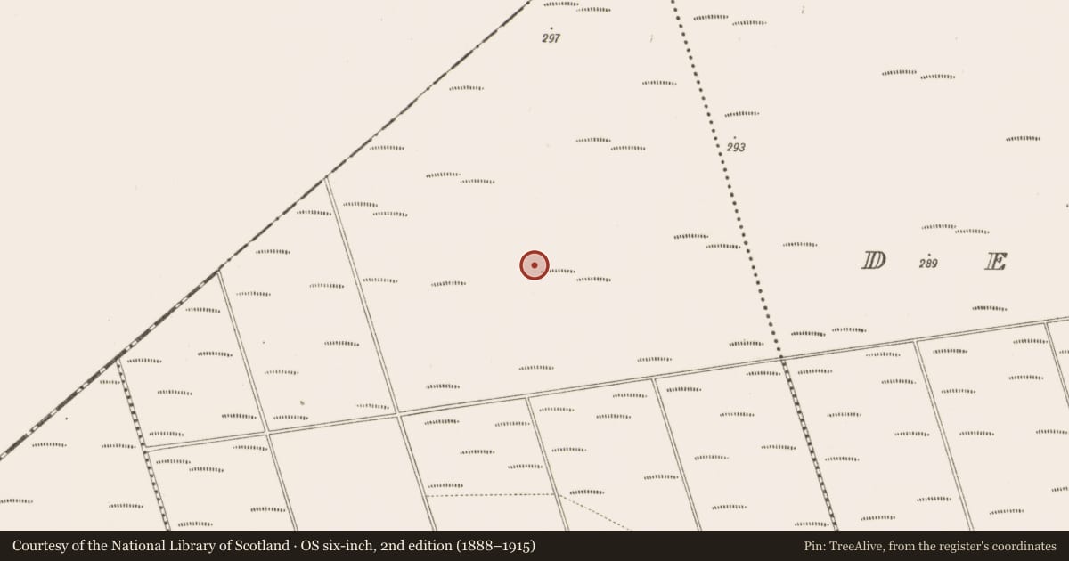 Ordnance Survey six-inch map, 2nd edition (1888–1915) covering the location of Road - class 2 togher, Bunsallagh, County Offaly, with a pin at the register's coordinates