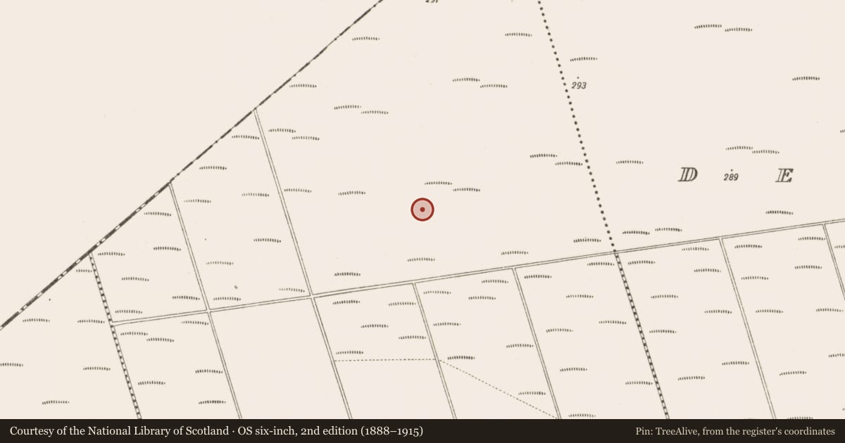 Ordnance Survey six-inch map, 2nd edition (1888–1915) covering the location of Road - class 2 togher, Bunsallagh, County Offaly, with a pin at the register's coordinates