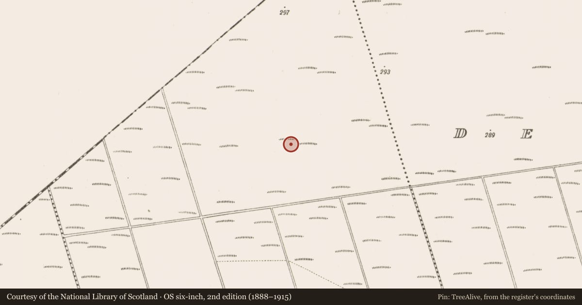 Ordnance Survey six-inch map, 2nd edition (1888–1915) covering the location of Structure - peatland, Bunsallagh, County Offaly, with a pin at the register's coordinates