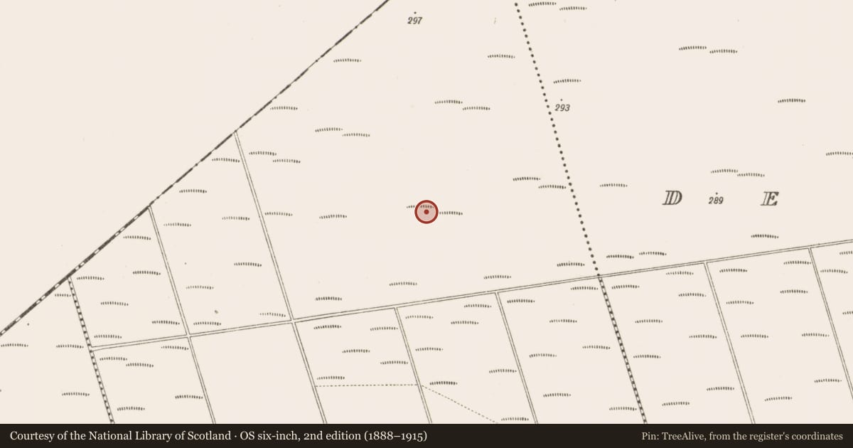 Ordnance Survey six-inch map, 2nd edition (1888–1915) covering the location of Structure - peatland, Bunsallagh, County Offaly, with a pin at the register's coordinates