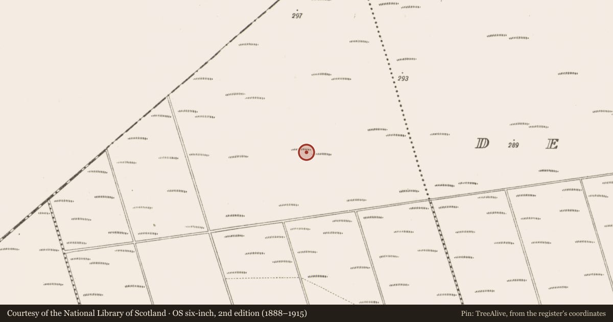 Ordnance Survey six-inch map, 2nd edition (1888–1915) covering the location of Structure - peatland, Bunsallagh, County Offaly, with a pin at the register's coordinates