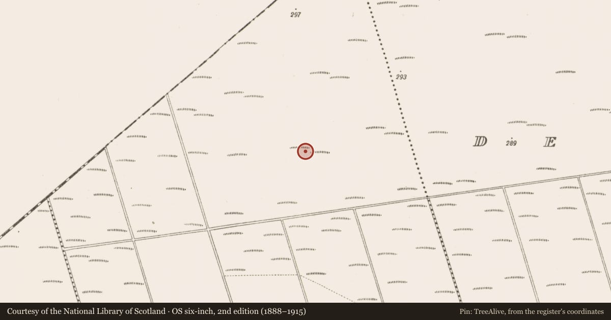 Ordnance Survey six-inch map, 2nd edition (1888–1915) covering the location of Structure - peatland, Bunsallagh, County Offaly, with a pin at the register's coordinates