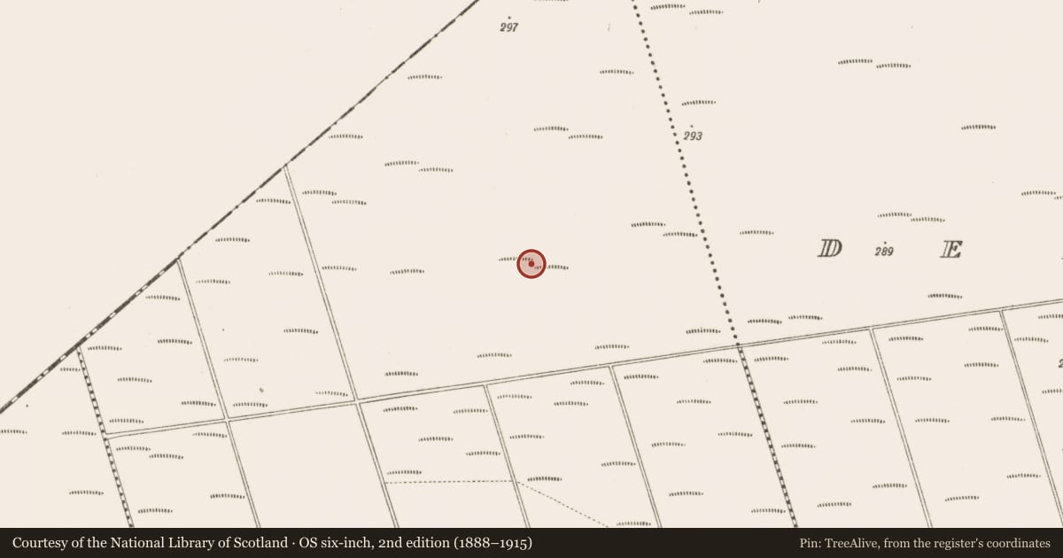 Ordnance Survey six-inch map, 2nd edition (1888–1915) covering the location of Structure - peatland, Bunsallagh, County Offaly, with a pin at the register's coordinates