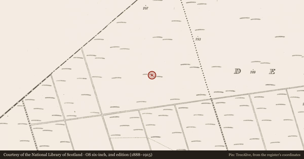 Ordnance Survey six-inch map, 2nd edition (1888–1915) covering the location of Road - class 3 togher, Bunsallagh, County Offaly, with a pin at the register's coordinates