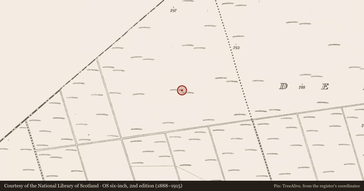 Ordnance Survey six-inch map, 2nd edition (1888–1915) covering the location of Structure - peatland, Bunsallagh, County Offaly, with a pin at the register's coordinates