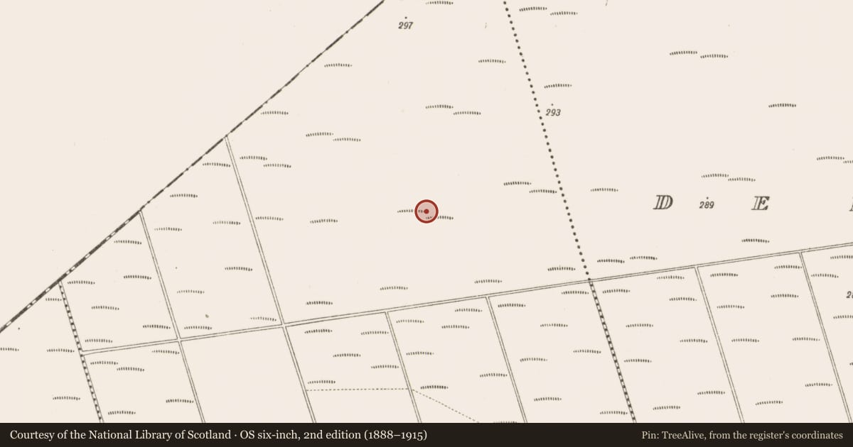 Ordnance Survey six-inch map, 2nd edition (1888–1915) covering the location of Structure - peatland, Bunsallagh, County Offaly, with a pin at the register's coordinates