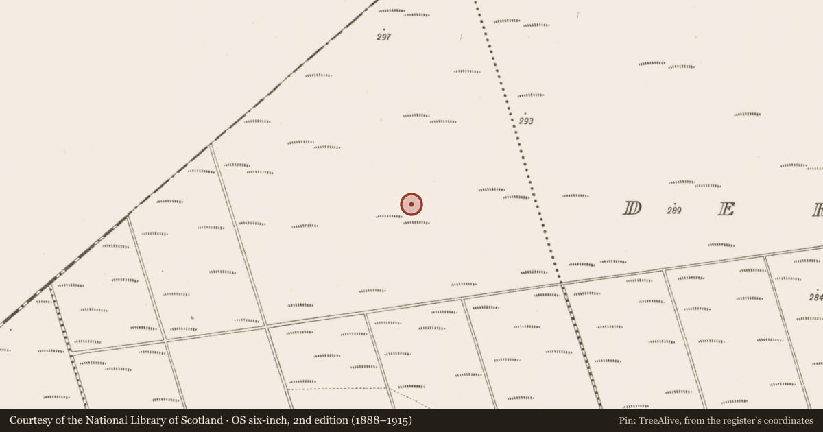 Ordnance Survey six-inch map, 2nd edition (1888–1915) covering the location of Structure - peatland, Bunsallagh, County Offaly, with a pin at the register's coordinates