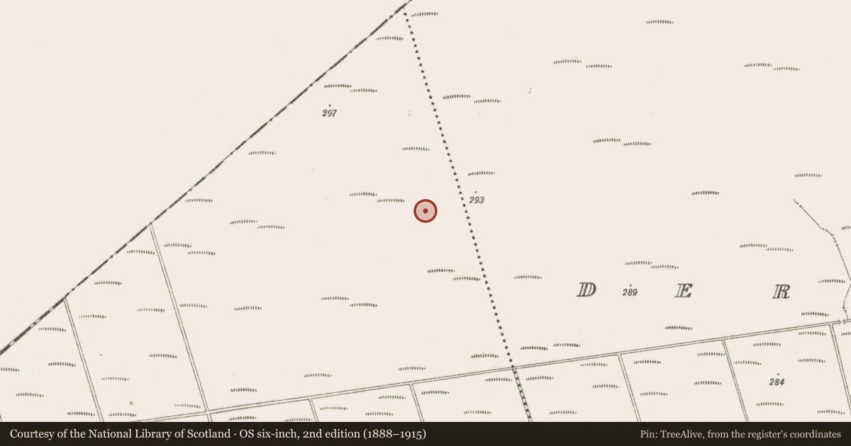Ordnance Survey six-inch map, 2nd edition (1888–1915) covering the location of Structure - peatland, Bunsallagh, County Offaly, with a pin at the register's coordinates