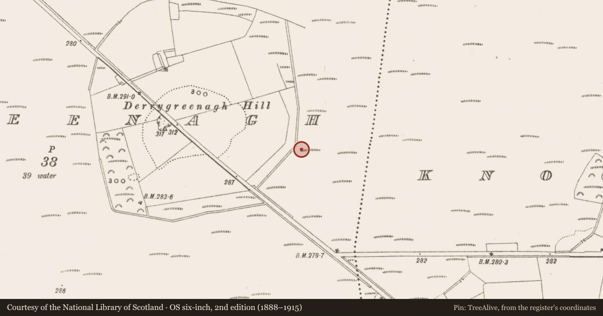 Ordnance Survey six-inch map, 2nd edition (1888–1915) covering the location of Road - class 3 togher, Derrygreenagh, County Offaly, with a pin at the register's coordinates