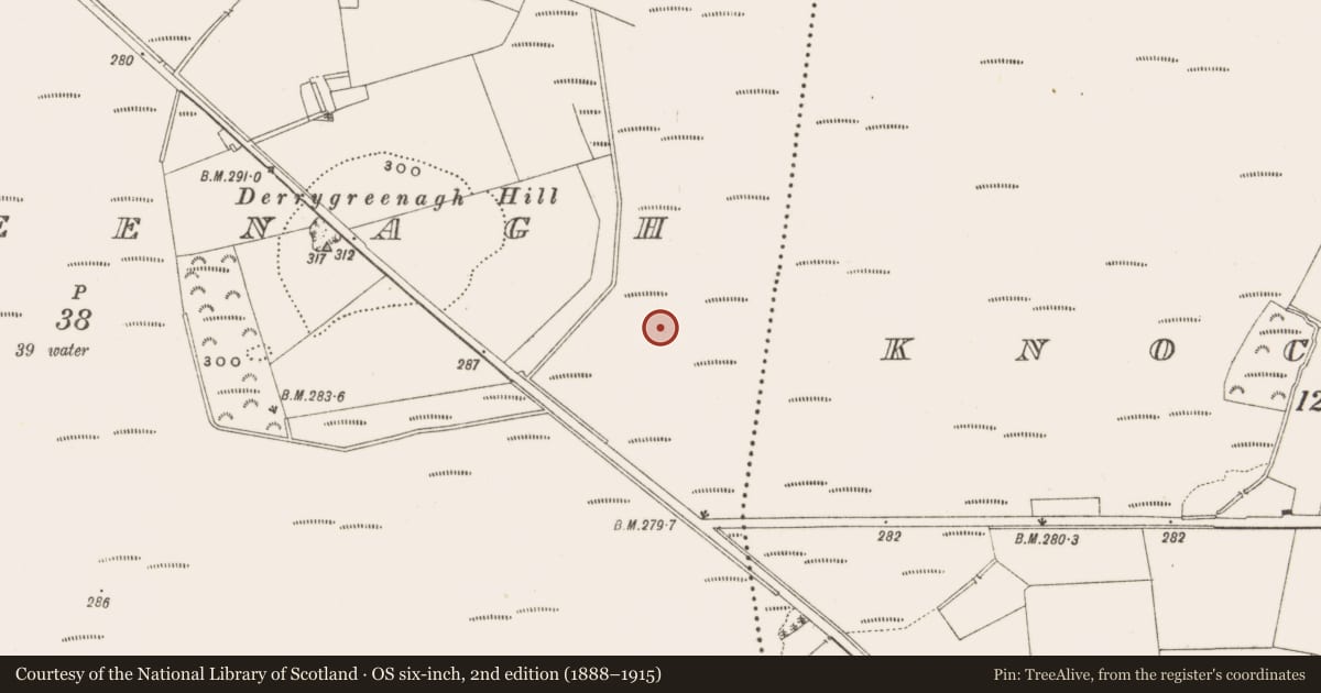 Ordnance Survey six-inch map, 2nd edition (1888–1915) covering the location of Structure - peatland, Derrygreenagh, County Offaly, with a pin at the register's coordinates