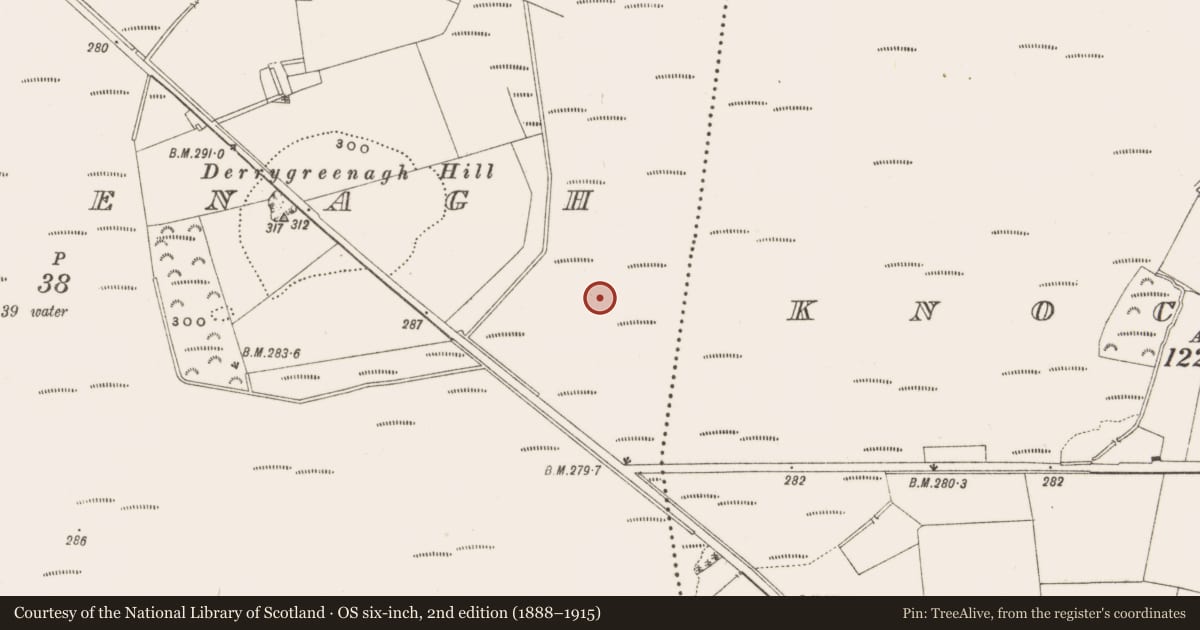 Ordnance Survey six-inch map, 2nd edition (1888–1915) covering the location of Road - class 2 togher, Derrygreenagh, County Offaly, with a pin at the register's coordinates