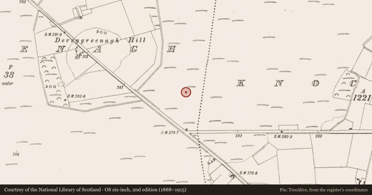 Ordnance Survey six-inch map, 2nd edition (1888–1915) covering the location of Road - class 3 togher, Derrygreenagh, County Offaly, with a pin at the register's coordinates