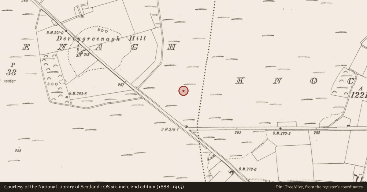 Ordnance Survey six-inch map, 2nd edition (1888–1915) covering the location of Structure - peatland, Derrygreenagh, County Offaly, with a pin at the register's coordinates