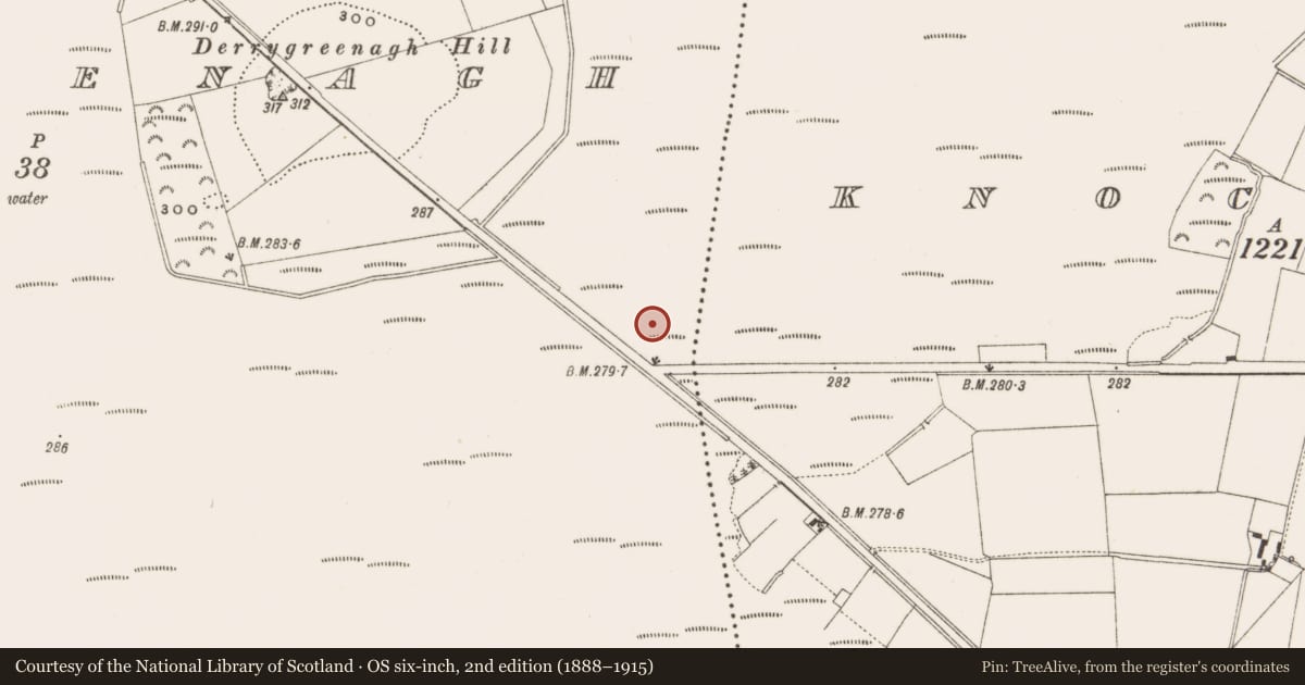 Ordnance Survey six-inch map, 2nd edition (1888–1915) covering the location of Structure - peatland, Derrygreenagh, County Offaly, with a pin at the register's coordinates