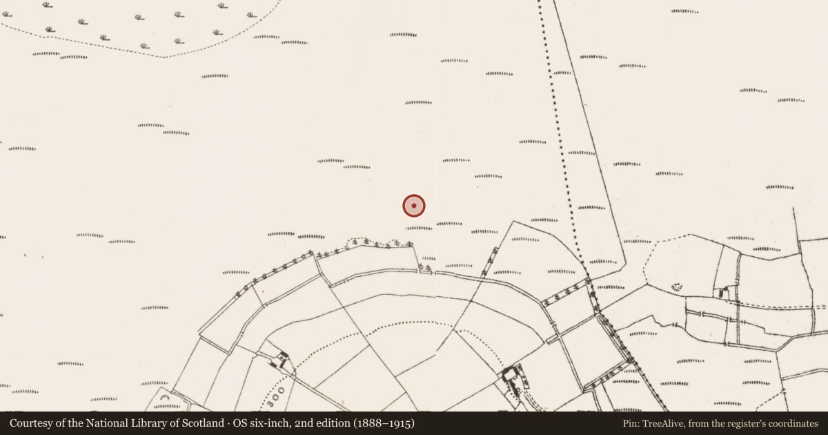 Ordnance Survey six-inch map, 2nd edition (1888–1915) covering the location of Post row - peatland, Knockdrin, County Offaly, with a pin at the register's coordinates