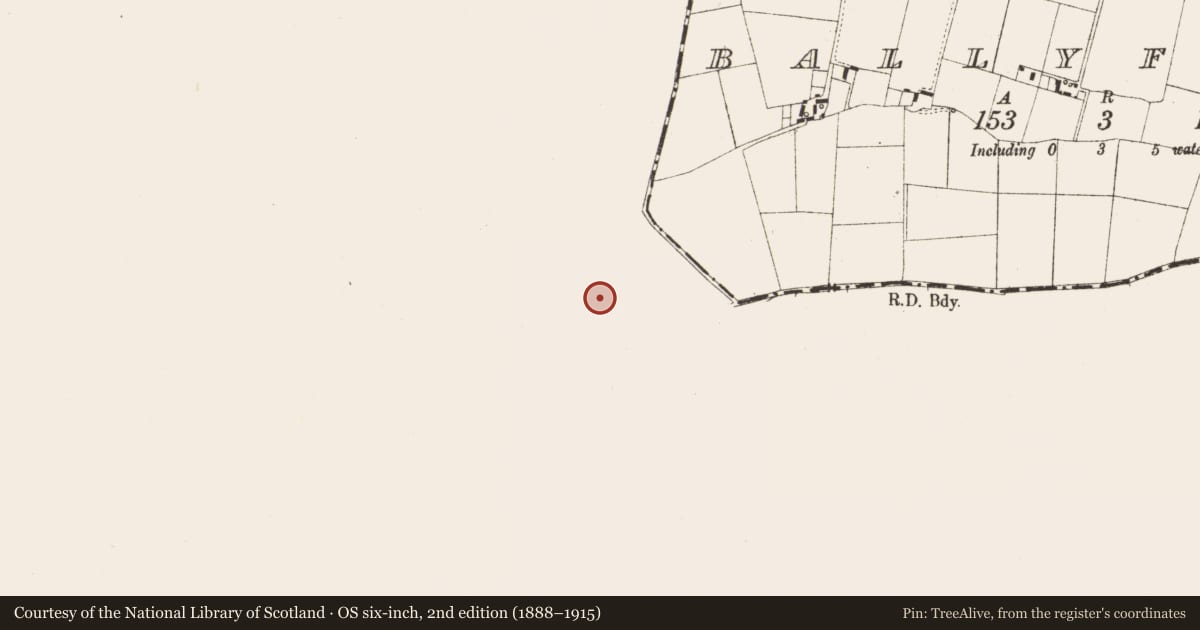 Ordnance Survey six-inch map, 2nd edition (1888–1915) covering the location of Enclosure, Stonehouse, County Offaly, with a pin at the register's coordinates