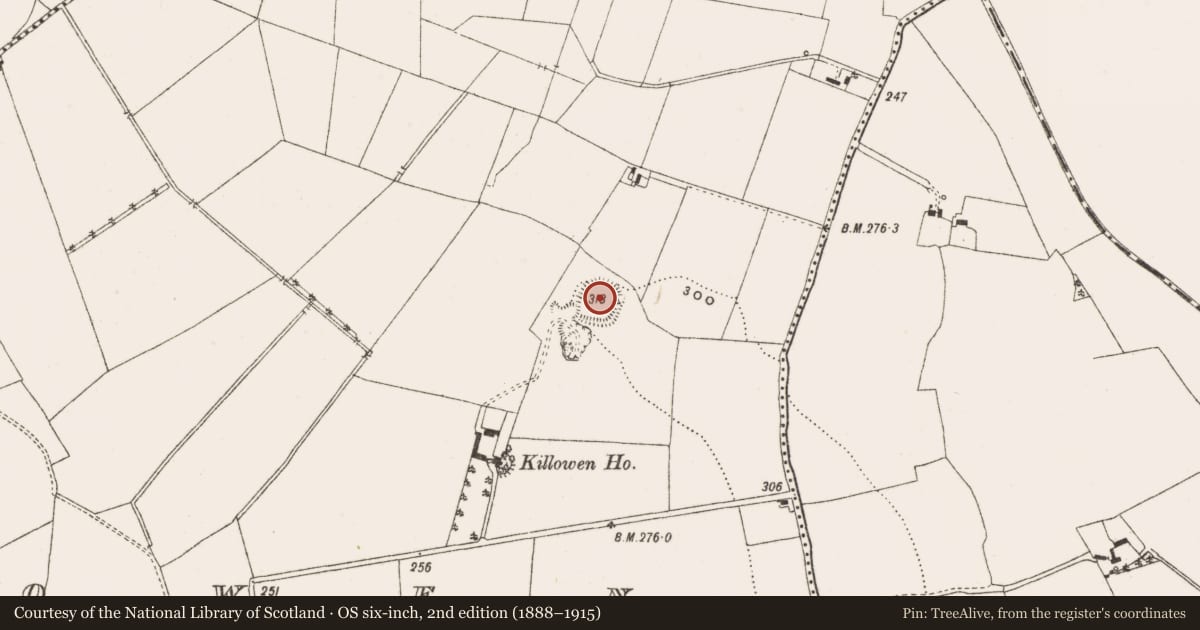 Ordnance Survey six-inch map, 2nd edition (1888–1915) covering the location of Enclosure, Killowen, County Offaly, with a pin at the register's coordinates