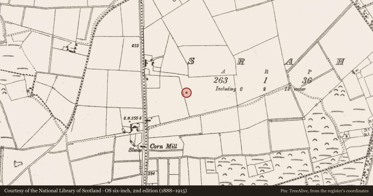 Ordnance Survey six-inch map, 2nd edition (1888–1915) covering the location of Earthwork, Srah, County Offaly, with a pin at the register's coordinates