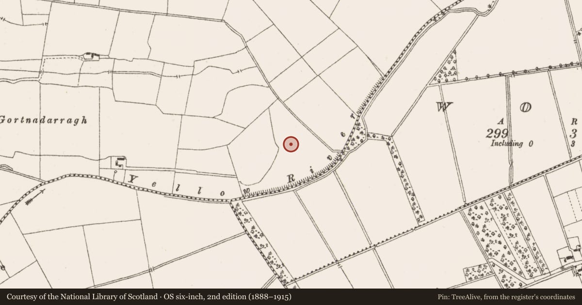Ordnance Survey six-inch map, 2nd edition (1888–1915) covering the location of Enclosure, Garr, County Offaly, with a pin at the register's coordinates