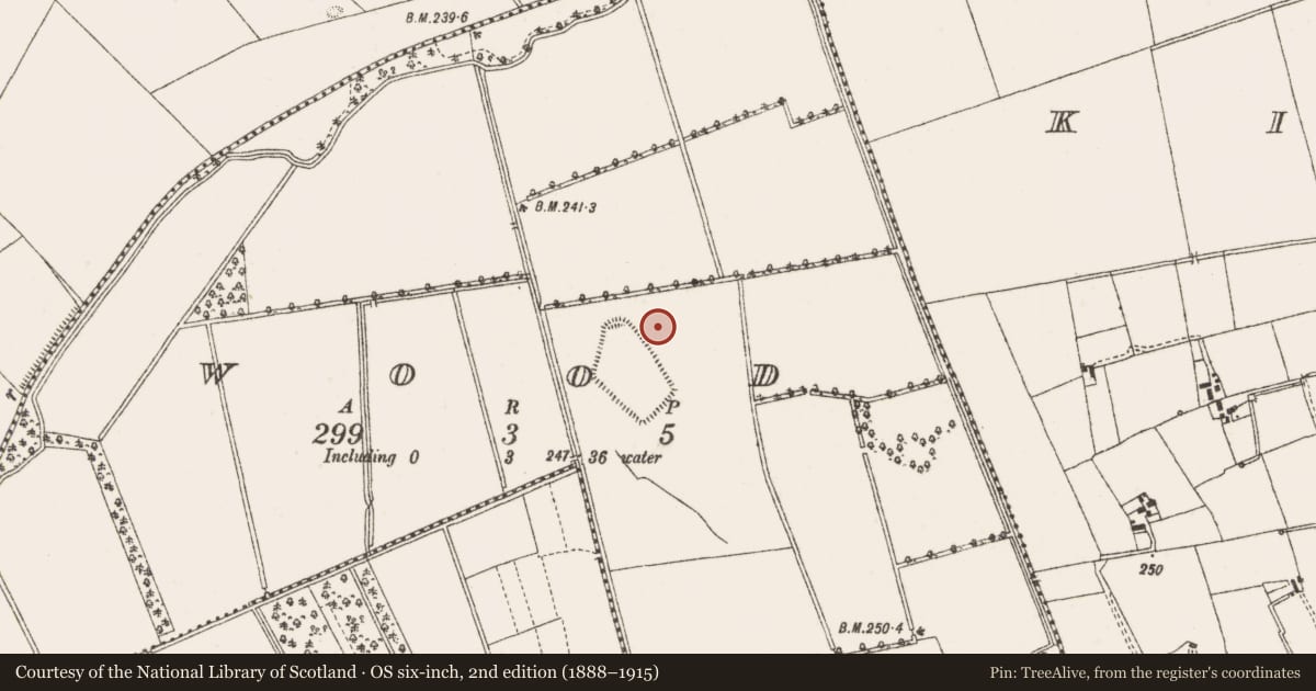 Ordnance Survey six-inch map, 2nd edition (1888–1915) covering the location of Moated site, Wood, County Offaly, with a pin at the register's coordinates
