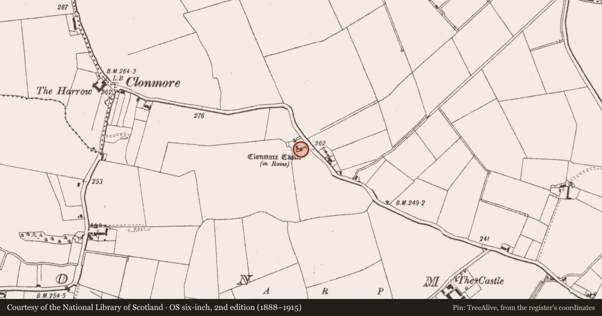 Ordnance Survey six-inch map, 2nd edition (1888–1915) covering the location of Castle - tower house, Clonmore, County Offaly, with a pin at the register's coordinates