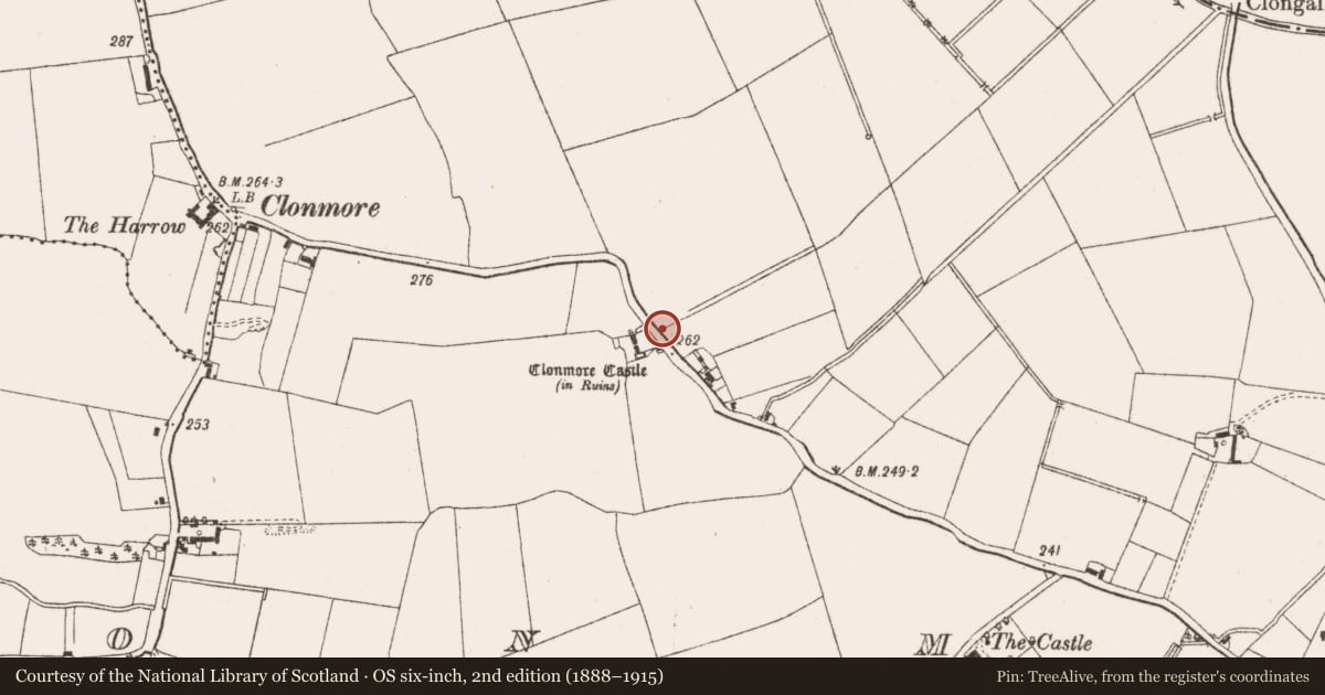 Ordnance Survey six-inch map, 2nd edition (1888–1915) covering the location of Bawn, Clonmore, County Offaly, with a pin at the register's coordinates