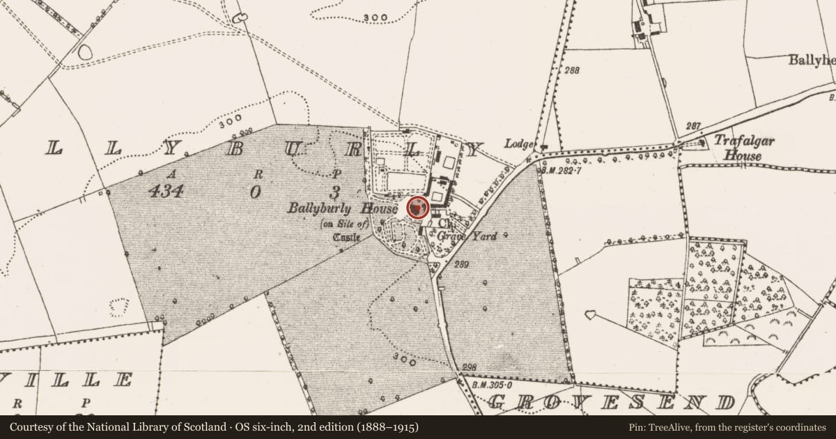 Ordnance Survey six-inch map, 2nd edition (1888–1915) covering the location of Castle - unclassified, Ballyburly, County Offaly, with a pin at the register's coordinates