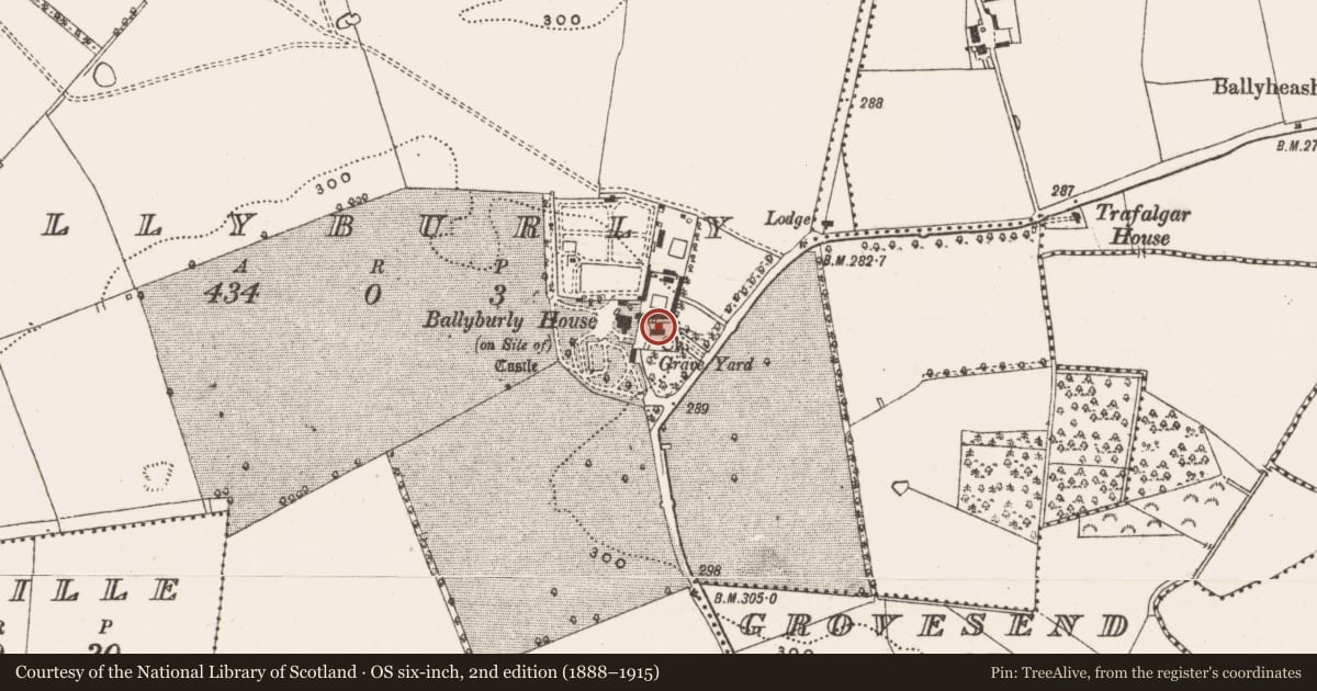Ordnance Survey six-inch map, 2nd edition (1888–1915) covering the location of Church, Ballyburly, County Offaly, with a pin at the register's coordinates