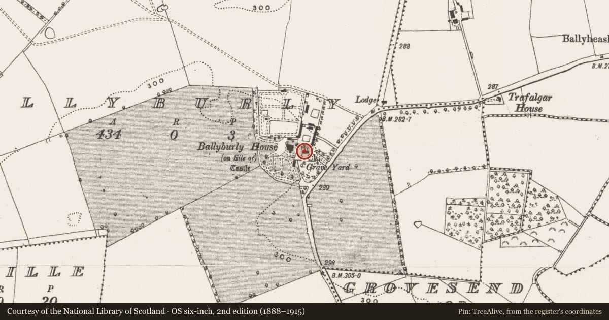 Ordnance Survey six-inch map, 2nd edition (1888–1915) covering the location of Ecclesiastical enclosure, Ballyburly, County Offaly, with a pin at the register's coordinates