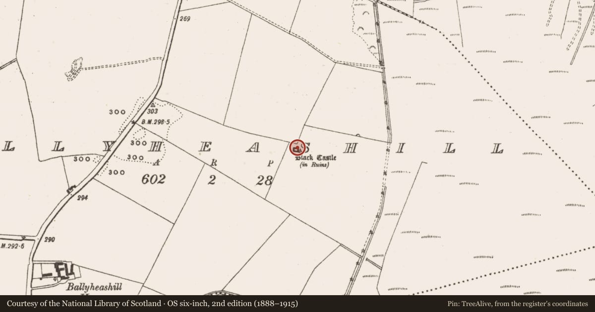 Ordnance Survey six-inch map, 2nd edition (1888–1915) covering the location of Castle - tower house, Ballyheashill, County Offaly, with a pin at the register's coordinates