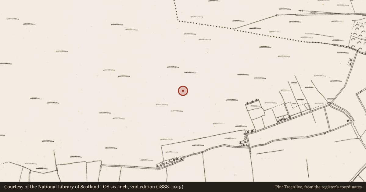 Ordnance Survey six-inch map, 2nd edition (1888–1915) covering the location of Structure - peatland, Garr, County Offaly, with a pin at the register's coordinates