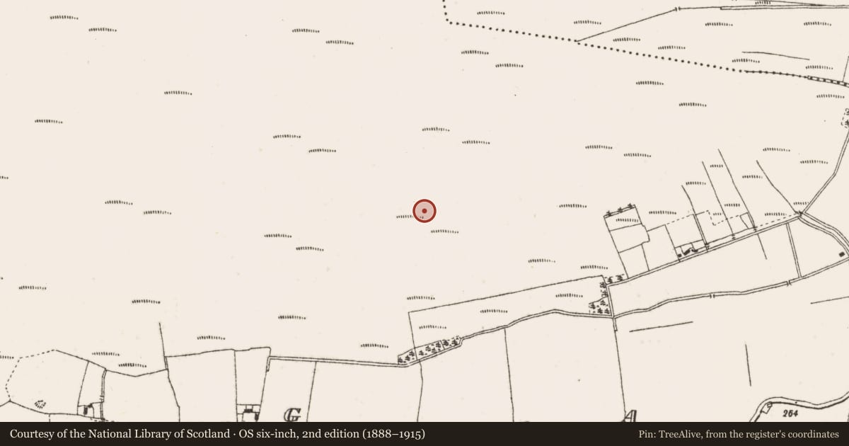 Ordnance Survey six-inch map, 2nd edition (1888–1915) covering the location of Structure - peatland, Garr, County Offaly, with a pin at the register's coordinates