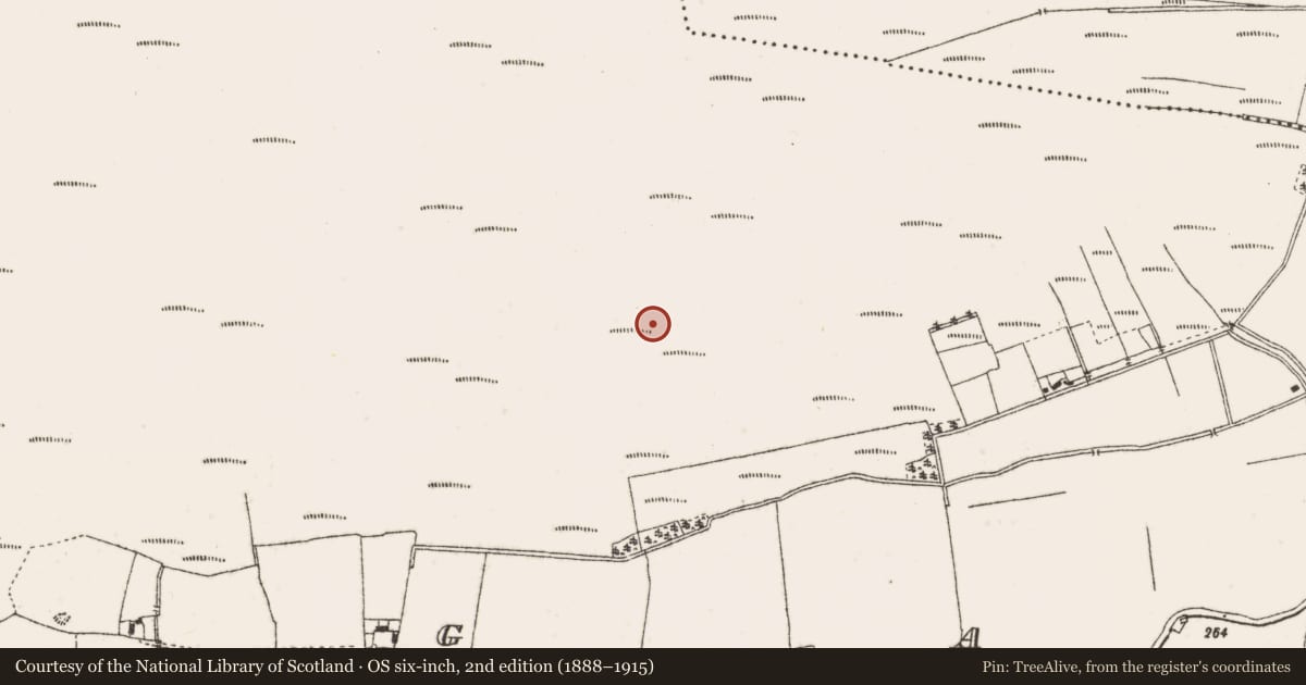 Ordnance Survey six-inch map, 2nd edition (1888–1915) covering the location of Structure - peatland, Garr, County Offaly, with a pin at the register's coordinates