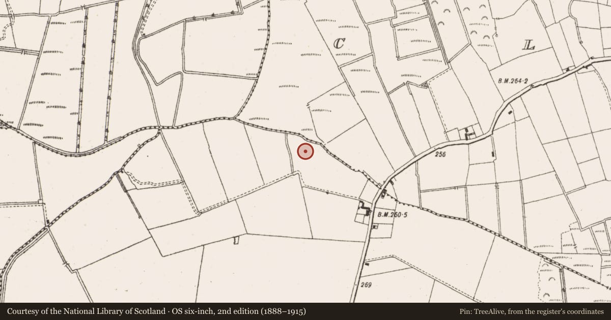 Ordnance Survey six-inch map, 2nd edition (1888–1915) covering the location of Ritual site - holy well, Ballyheashill, County Offaly, with a pin at the register's coordinates